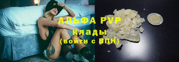 PSILOCYBIN Абинск