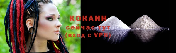 соль ск Абаза
