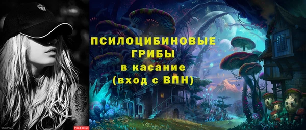 PSILOCYBIN Абинск