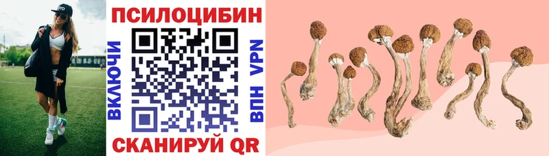 Псилоцибиновые грибы Psilocybe  Фрязино 